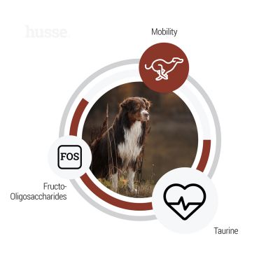 Sensitive Digest Giant, 12.5 kg | Glutenfreie Rezeptur mit begrenzten tierischen Proteinquellen